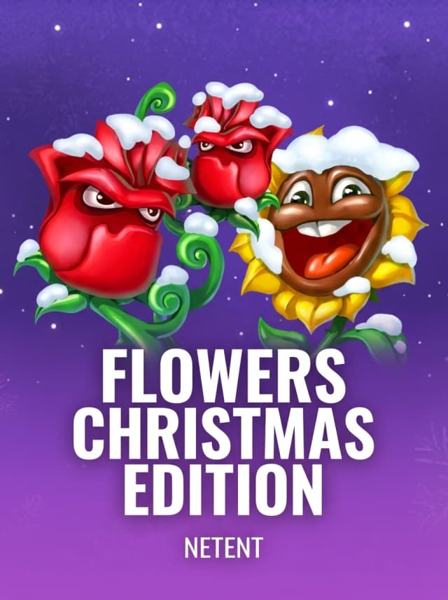 Flowers Christmas Edition