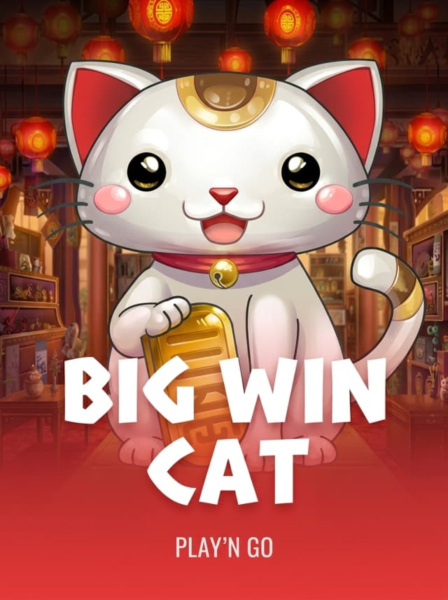 Big Win Cat