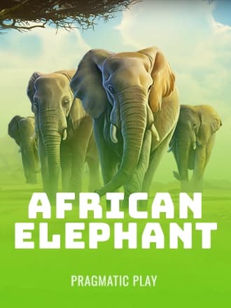 African Elephant by Pragmatic Play - Play at Acebet