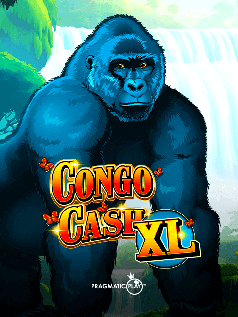 Congo Cash XL