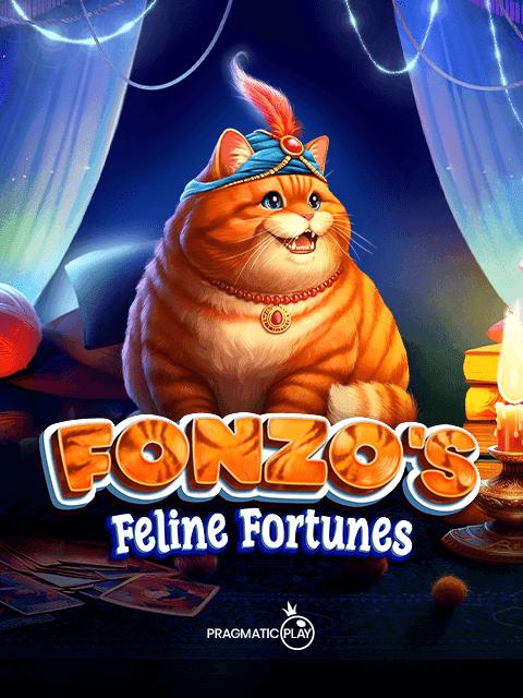 Fonzo’s Feline Fortunes