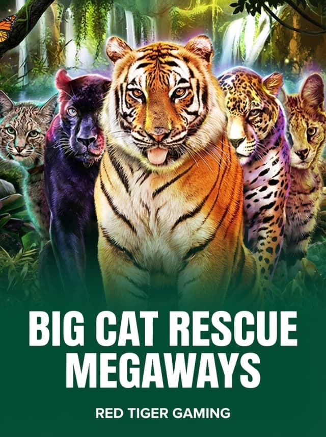 Big Cat Rescue Megaways
