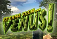 It Came From Venus JP Plus