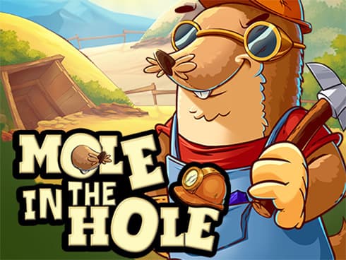 Mole In The Hole by Penguin King - Play at Acebet